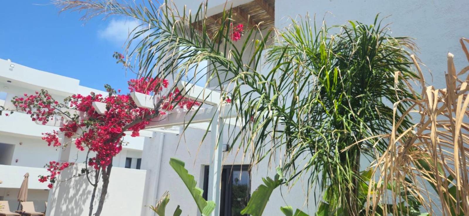 Aegean View Hotel - Adults Only Sfakaki Bagian luar foto